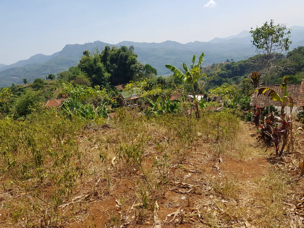 Tanah Kebun SHM 2.173 m² di Puncak Bukit Soreang Bandung (View Lembah & Desa)